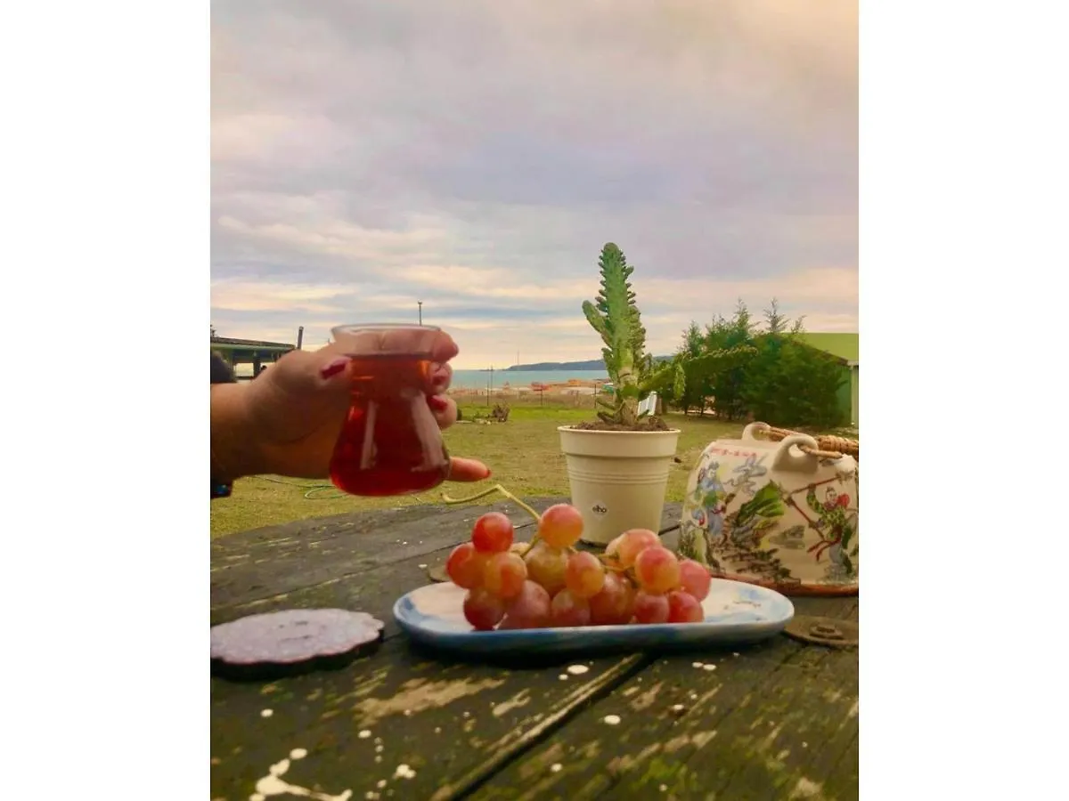 酒店 Dominic Home 伊斯坦布尔